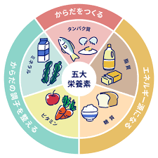 元気で長生き!素敵な老後を送るためには