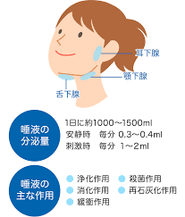 歯周病について