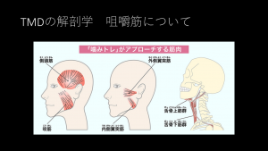 症例ブログ:顎関節症とその治療について