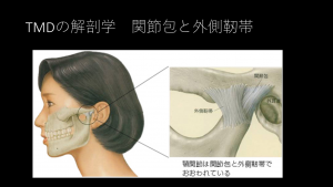 症例ブログ:顎関節症とその治療について