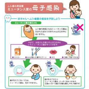 むし歯菌ってどこから来るの?親子で守る歯の健康